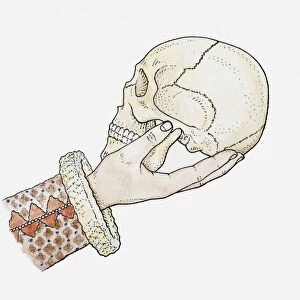 Illustration of hand holding human skull
