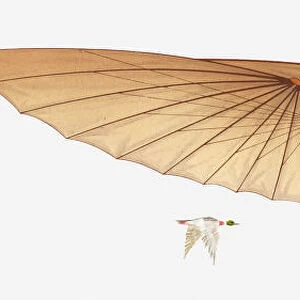 Illustration of a hang glider and a bird in mid-air