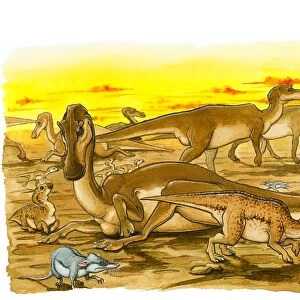 Illustration of herd of adult and young Hypsilophodon dinosaurs, with prehistoric rats scavenging for eggs on ground and in nest