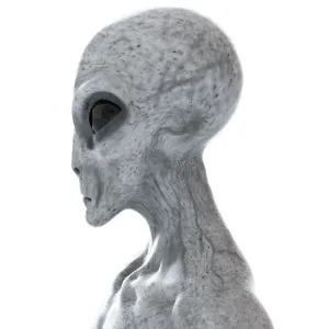 Illustration of a humanoid alien Illustration of a humanoid alien