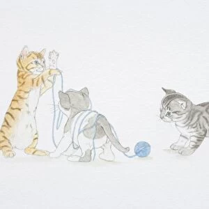 Illustration, three kittens playing with ball of wool, kitten to left holding up thread in front of entangled kitten in middle, kitten to left looking at ball