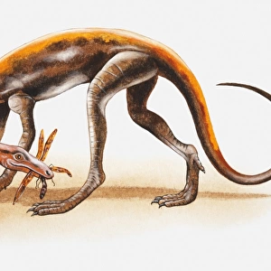 Illustration of a Lagosuchus with prey in its mouth, Triassic period