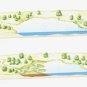 Illustration of a lake being filled with sediment deposited by rivers, eventually forming a marsh, bog or swamp (image sequence)