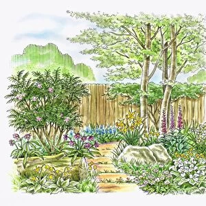 Illustration of a landscaped woodland garden