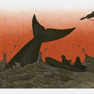 Illustration of man aiming harpoon at whale in sea next to people in small boat set against a blood red sky