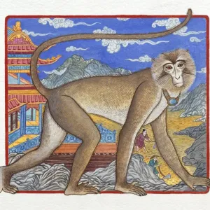 Illustration of Monkey Climbing up the Mountain, representing Chinese Year Of The Monkey Illustration of Monkey Climbing up the Mountain, representing Chinese Year Of The Monkey