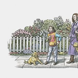 Illustration of mother and daughter walking adult dog and puppy on pavement