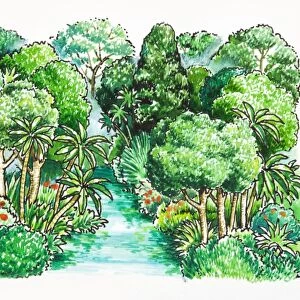 Illustration of of river in tropical rainforest