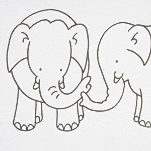 Illustration, pair of Elephants, trunks touching, side view