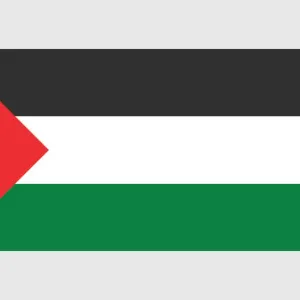 Illustrazione della bandiera palestinese, con tre strisce orizzontali uguali nere, bianche e verdi sovrapposte da un triangolo isoscele rosso all'albero. Illustrazione della bandiera palestinese, con tre strisce orizzontali uguali nere, bianche e verdi sovrapposte da un triangolo isoscele rosso all'albero.