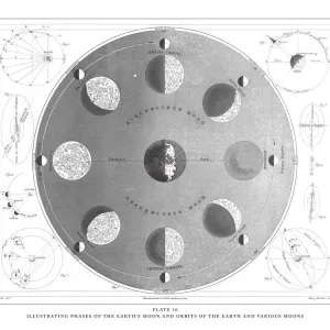 Antique Moon Phases Print Antique Moon Phases Print