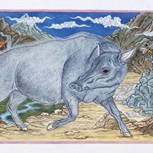 Illustration of Pig Passing the Mountain, representing Chinese Year Of The Pig