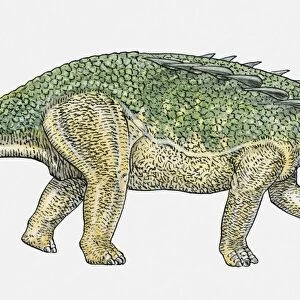 Illustration of Polacanthus ankylosaur dinosaur