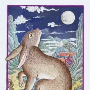 Illustration of Rabbit Looking at the Moon, representing Chinese Year Of The Rabbit