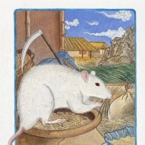 Illustration of Rat in the Warehouse, representing Chinese Year Of The Rat