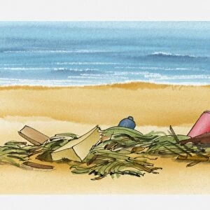 Illustration of rubbish washed up on beach with seaweed