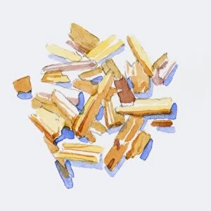 Illustration of Santalum (Sandalwood), wood chips