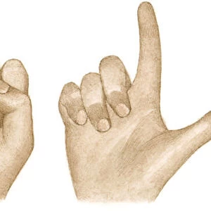 Illustration of sign language using fingers and thumbs to sign I love you