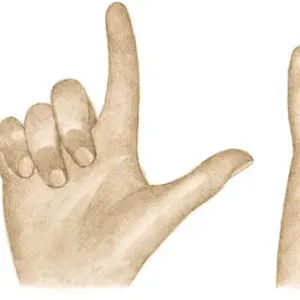 Illustration of sign language using fingers and thumbs to sign I love you
