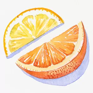 Illustration of slices of orange and lemon