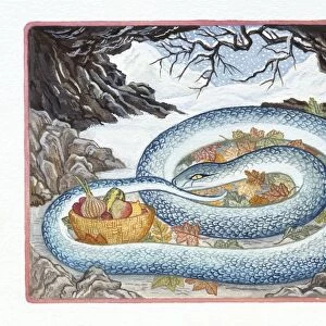 Illustration of Snake Sleeping in the Winter, representing Chinese Year Of The Snake