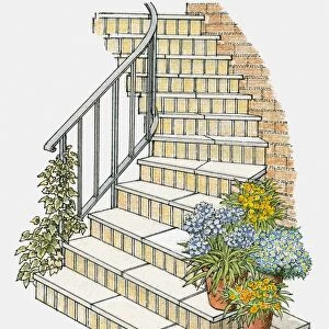 Illustration of steps decorated with flower pots and ivy growing on handrail