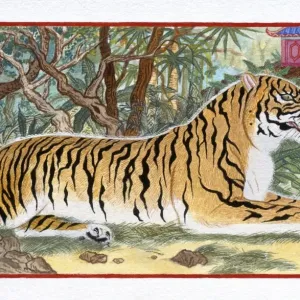 Illustration of Tiger in the Forest, representing Chinese Year Of The Tiger Illustration of Tiger in the Forest, representing Chinese Year Of The Tiger