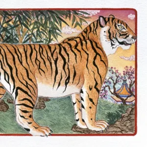 Illustration of Tiger Standing Still, representing Chinese Year Of The Tiger