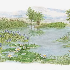 Illustration of trees, water lilies and bulrushes surrounding lake on Kenyas lush plains