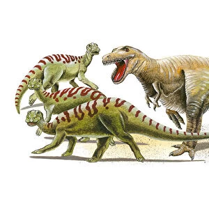 Illustration of a Tyrannosaurus Rex in pursuit of herd of Iguanodon dinosaurs