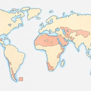 Illustration of world map showing areas of desertification