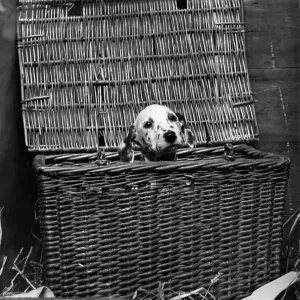 I'm Safe In Here I'm Safe In Here