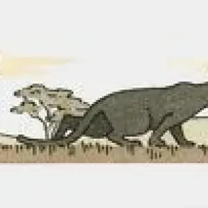 Black Panther Running at Night Print Black Panther Running at Night Print