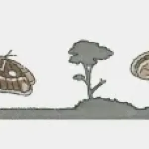 Image sequence illustration of moth flying at night