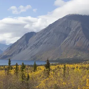 Indian Summer Print: Kathleen Lake, St Elias Mountains