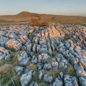 Ingleborough