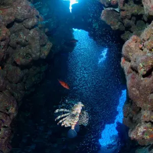Inside canyon Inside canyon