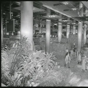 Images Dated 1982 December: 5 Dec 1982
