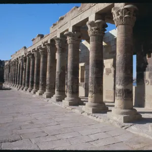 Images Dated 1980 March: 10 Mar 1980