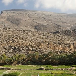 Irrigated vegetable gardens at the foot of the barren Al Hajar Mountains in Wadi Ghul, Sultanate of Oman, Middle East, Asia