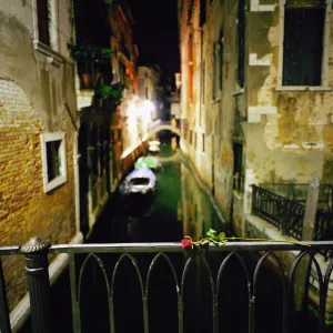 Italy, Venice, rose on bridge over canal at night