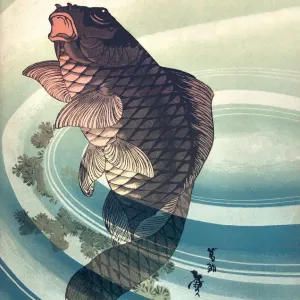 19th Century Vintage Koi Carp Print 19th Century Vintage Koi Carp Print