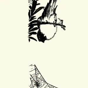 Japanese Art, Sketch of a Bird and spider Japanese Art, Sketch of a Bird and spider