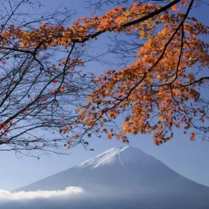 Japanese maples and Mount Fuji, Fuji-Hakone-Izu National Park, Honshu, Japan Japanese maples and Mount Fuji, Fuji-Hakone-Izu National Park, Honshu, Japan