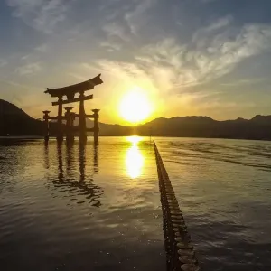 Japanese torii on the island of MiyaJima at sunset Japanese torii on the island of MiyaJima at sunset
