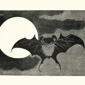 Japanese Art Print: Bat Flying Across the Moon Japanese Art Print: Bat Flying Across the Moon