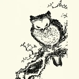 Japanesse Art, Owl perched on a branch, 19th Century Japanesse Art, Owl perched on a branch, 19th Century