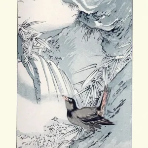 Japanesse Art, Study of a Bird Japanesse Art, Study of a Bird