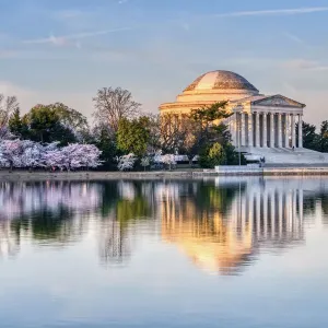 Jefferson Memorial and Cherry Blossoms Jefferson Memorial and Cherry Blossoms