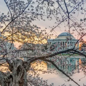 Jefferson Memorial Print at Sunrise Jefferson Memorial Print at Sunrise